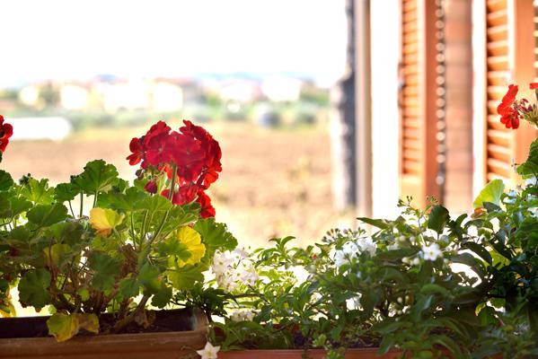 Agriturismo Bellarosa Assisi Ngoại thất bức ảnh